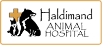 Haldimand Animal Hospital